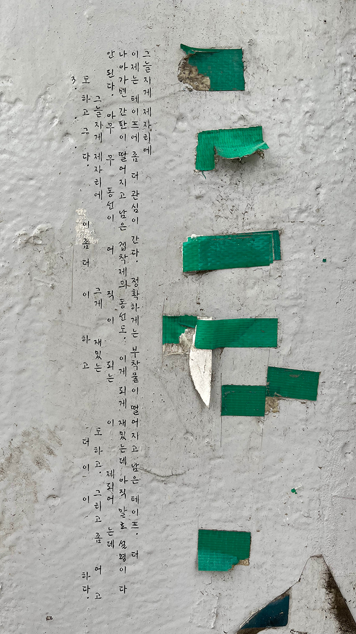 24년 2월 4일 도시의무늬체