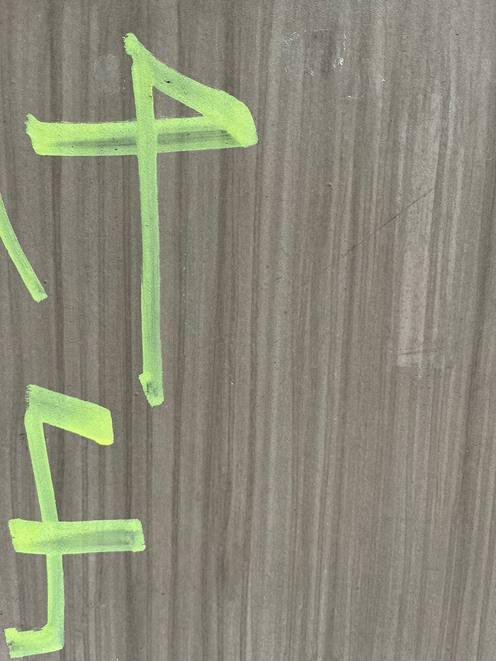 1일째 사진 14