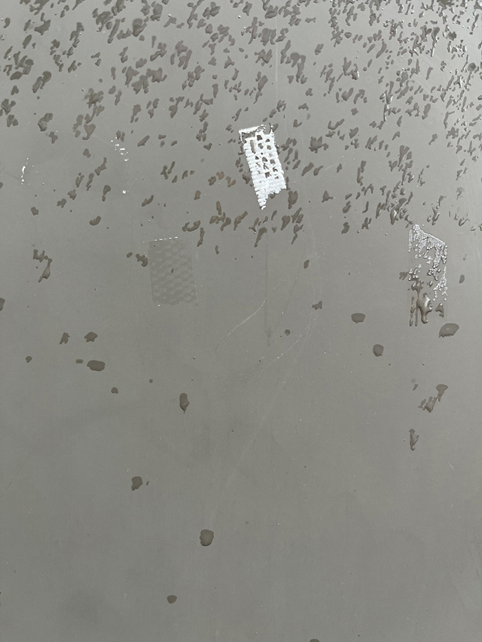 18일째 사진 14