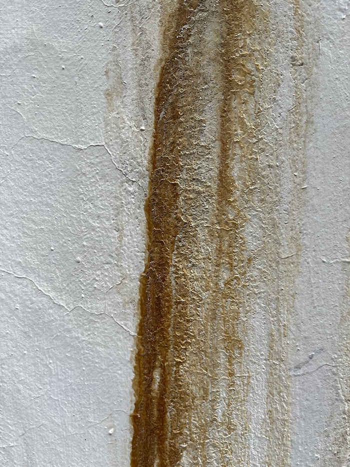2일째 사진 9