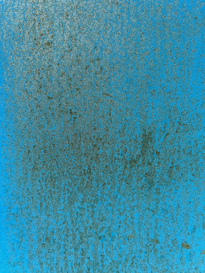 21일째 사진 1