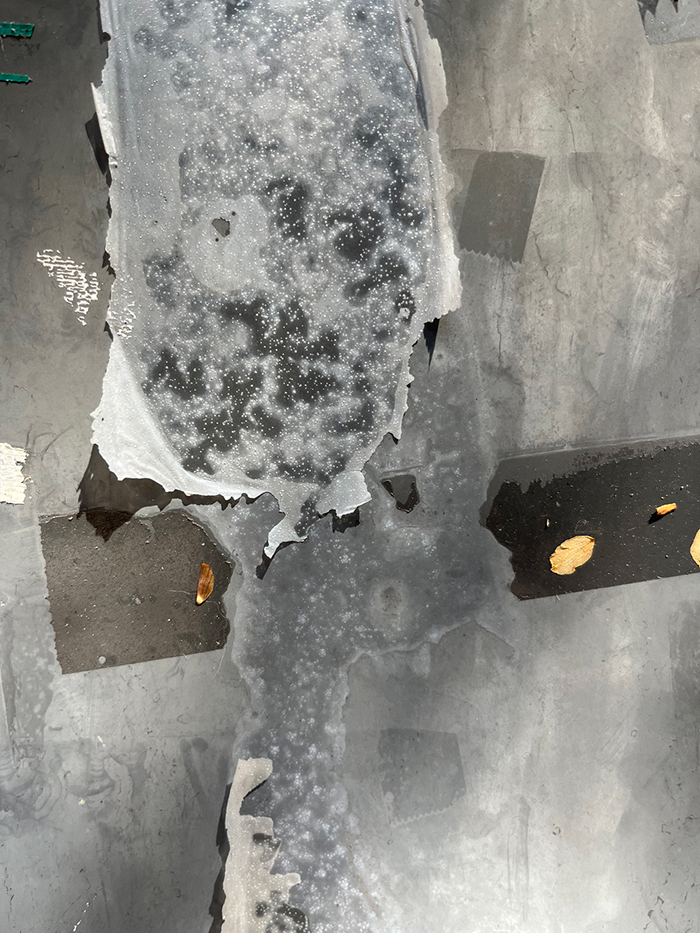 21일째 사진 3