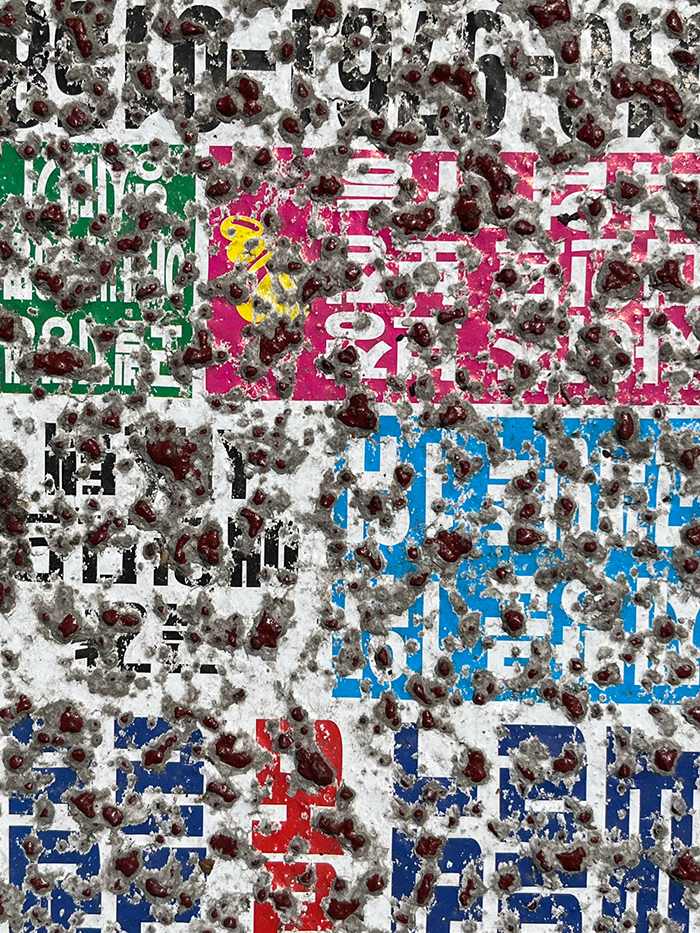 21일째 사진 7