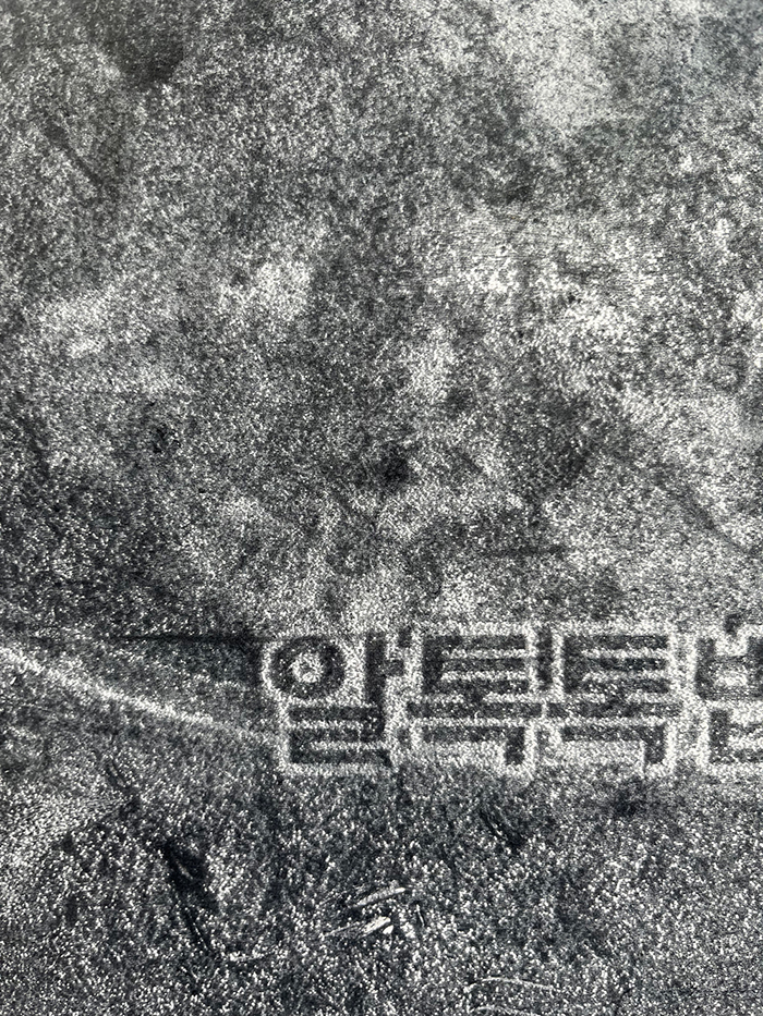 24일째 사진 6