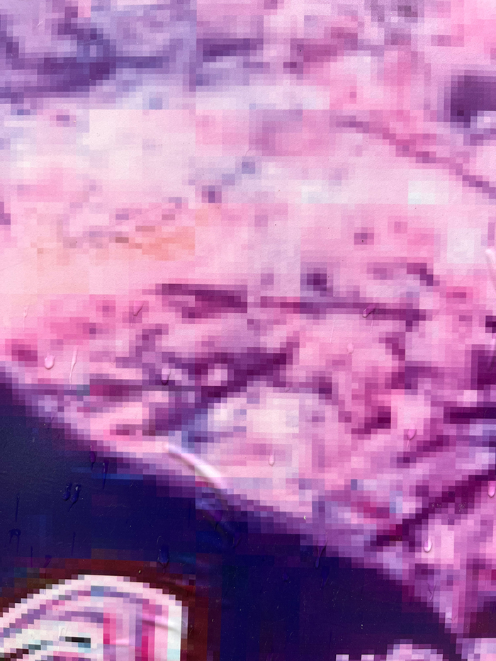 28일째 사진 5